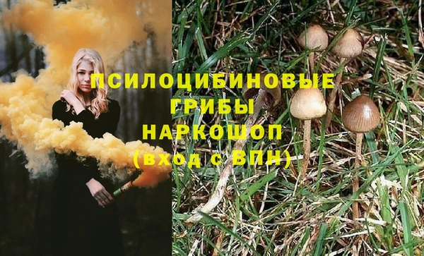 каннабис Алексеевка