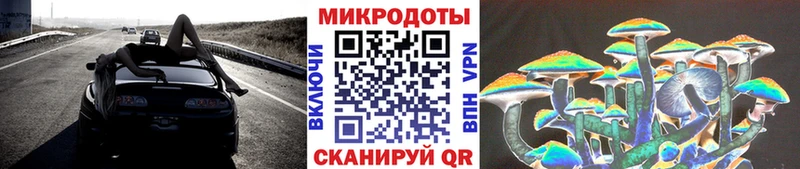 Галлюциногенные грибы Psilocybine cubensis  Ишимбай 