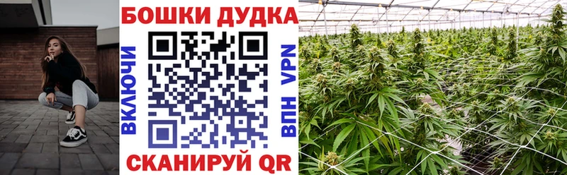 Шишки марихуана семена  даркнет Telegram  Ишимбай 